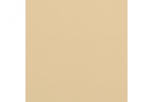 Экокожа LATTE-101